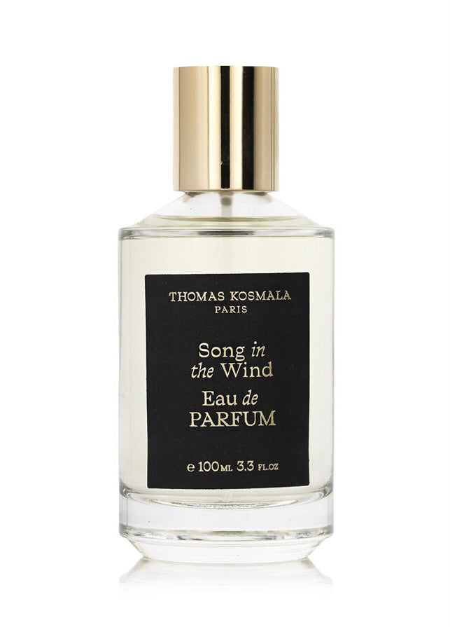 Thomas Kosmala Song In The Wind edp